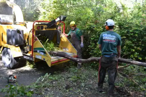 tree services Fonda